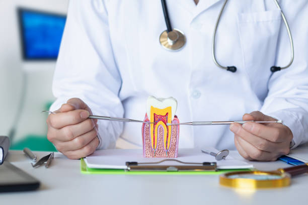 Best Pediatric Emergency Dentist in Ravenel, SC
